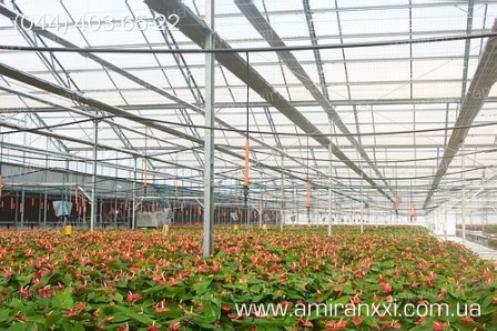 Применение монолитного поликарбоната в строительстве. Теплица из поликарбоната.