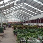 Применение монолитного поликарбоната в строительстве. Теплица из поликарбоната.