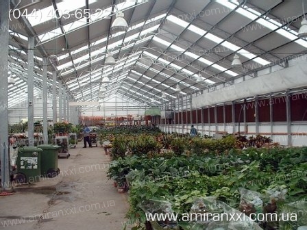 Применение монолитного поликарбоната в строительстве. Теплица из поликарбоната.