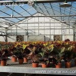 Применение монолитного поликарбоната в строительстве. Теплица из поликарбоната.