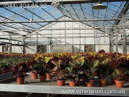 Применение монолитного поликарбоната в строительстве. Теплица из поликарбоната.