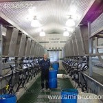 Применение монолитного поликарбоната в строительстве. Коровник из поликарбоната.