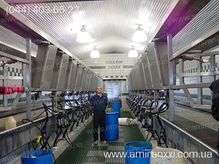 Применение монолитного поликарбоната в строительстве. Коровник из поликарбоната.