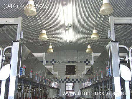 Применение монолитного поликарбоната в строительстве. Коровник из поликарбоната.