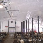 Применение монолитного поликарбоната в строительстве. Теплица из поликарбоната.