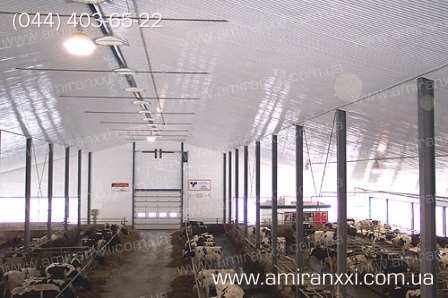 Применение монолитного поликарбоната в строительстве. Теплица из поликарбоната.