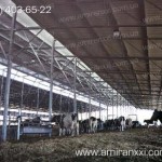 Применение монолитного поликарбоната в строительстве. Коровник из поликарбоната.