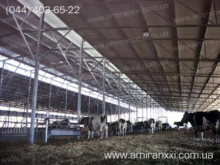 Применение монолитного поликарбоната в строительстве. Коровник из поликарбоната.
