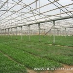 Применение сотовый поликарбоната в строительстве. Теплица из поликарбоната.