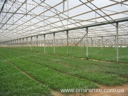 Применение сотовый поликарбоната в строительстве. Теплица из поликарбоната.