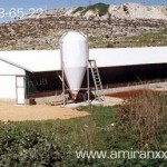 Применение сотовый поликарбоната в строительстве. Теплица из поликарбоната.