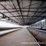 Применение сотовый поликарбоната в строительстве. Ферма из поликарбоната.