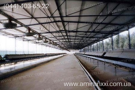 Применение сотовый поликарбоната в строительстве. Ферма из поликарбоната.