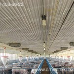 Применение профилированный поликарбоната в строительстве. Свинарник из поликарбоната.