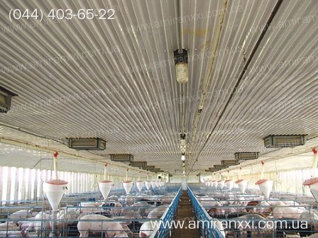 Применение профилированный поликарбоната в строительстве. Свинарник из поликарбоната.