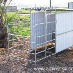 Применение профилированный поликарбоната в строительстве. Стойло для лошадей из поликарбоната.