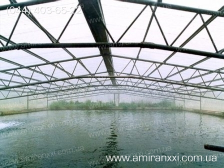 Применение монолитный поликарбоната в строительстве. Теплица из поликарбоната.