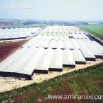 Применение монолитный поликарбоната в строительстве. Ферма из поликарбоната.