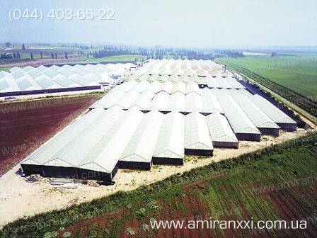 Применение монолитный поликарбоната в строительстве. Ферма из поликарбоната.