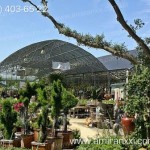 Применение монолитный поликарбоната в строительстве. Теплица из поликарбоната.