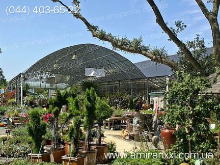 Применение монолитный поликарбоната в строительстве. Теплица из поликарбоната.