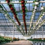 Применение монолитный поликарбоната в строительстве. Теплица из поликарбоната.