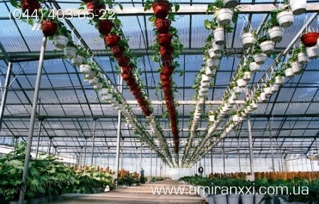 Применение монолитный поликарбоната в строительстве. Теплица из поликарбоната.